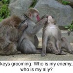 The internet is for gossip